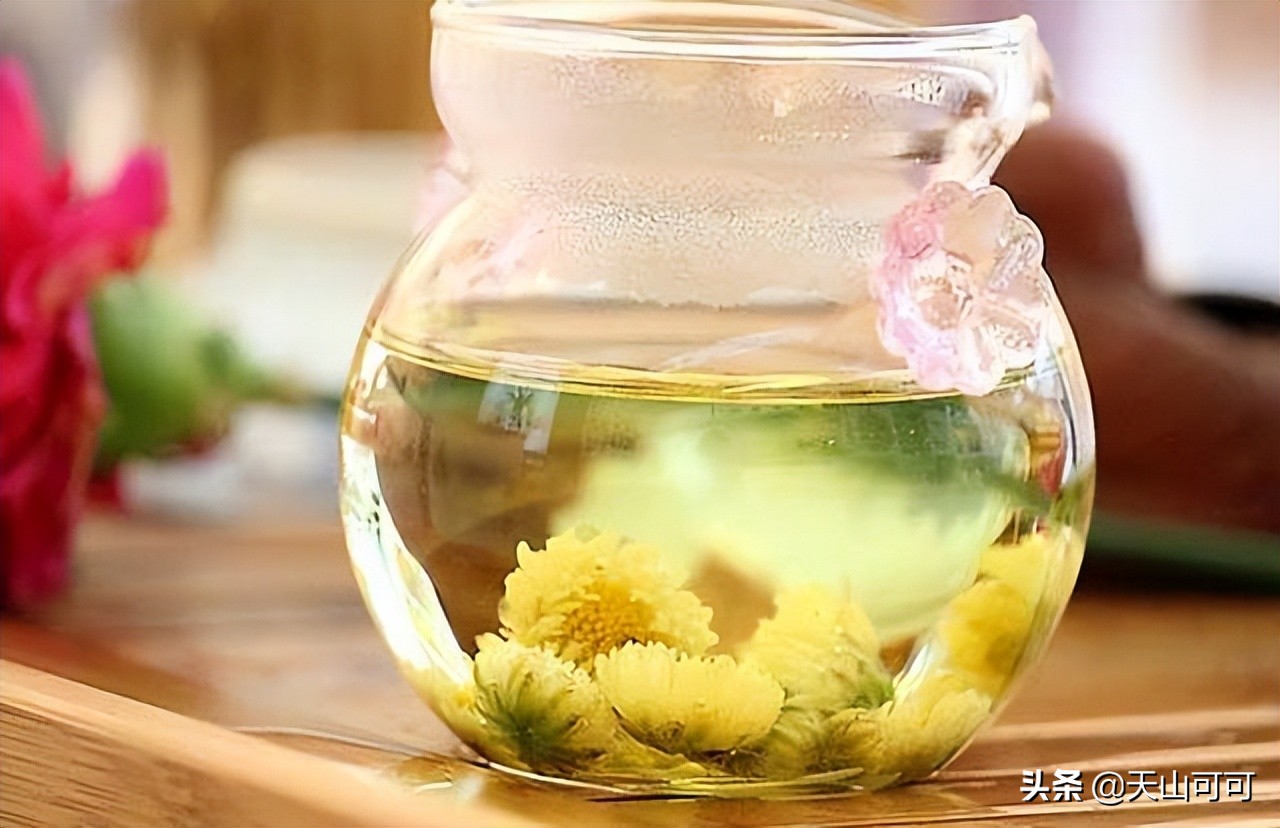 伏天适合喝哪种菊花,夏季喝干菊花冬天喝什么