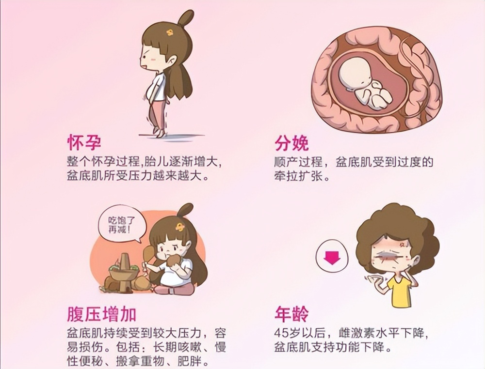 散步时*体下**掉出个肉球？压力压垮的不止精神，还有盆底！