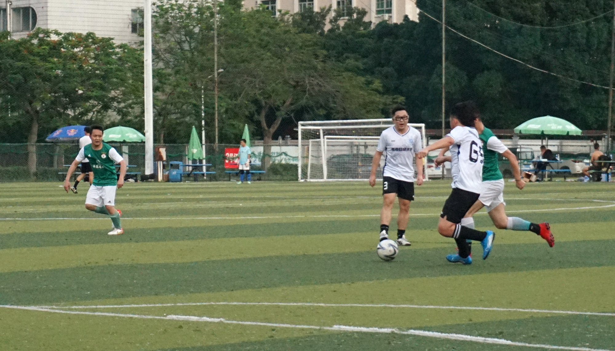 西南财大vs金强,苍狼vs老虎