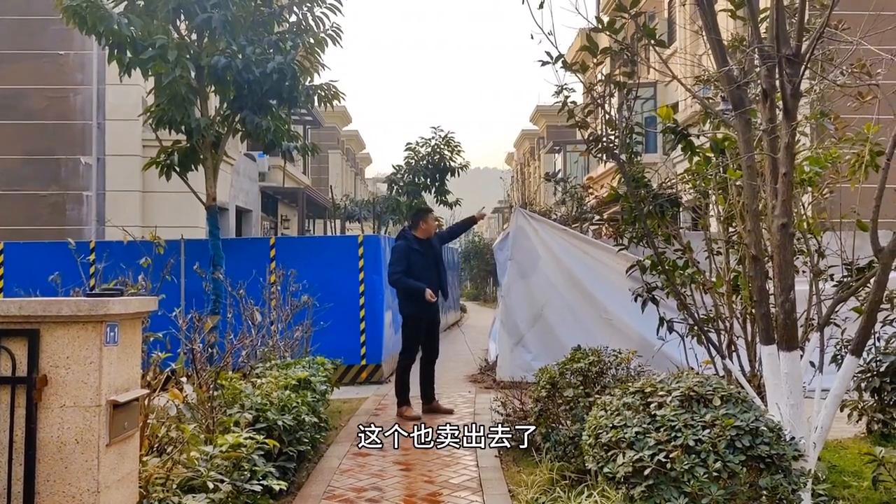 宝嘉花与山c区别墅,宝嘉花与山洋房一楼带院