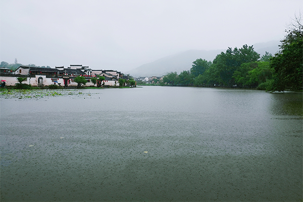 严重失眠催眠曲60分钟白噪音,失眠者如何抵抗噪音