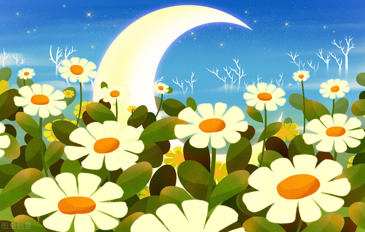 一花一世界一叶一菩提一念之间,一花一叶一世界春暖花开