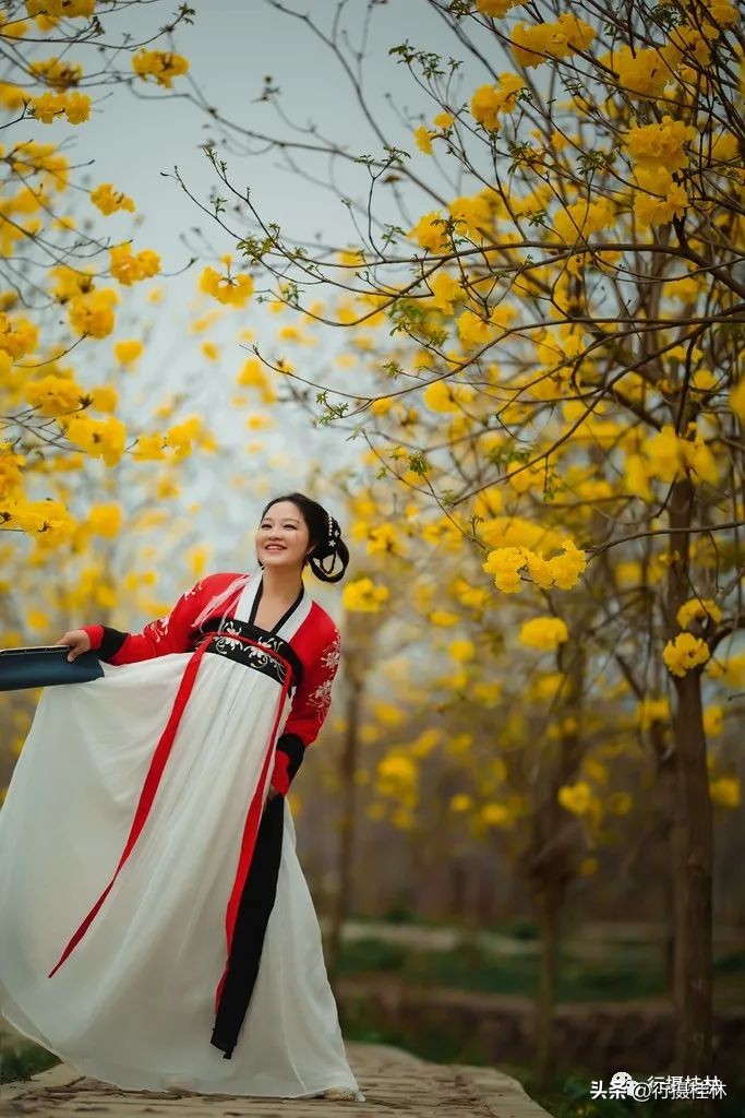 花仙子风铃,风铃花仙子