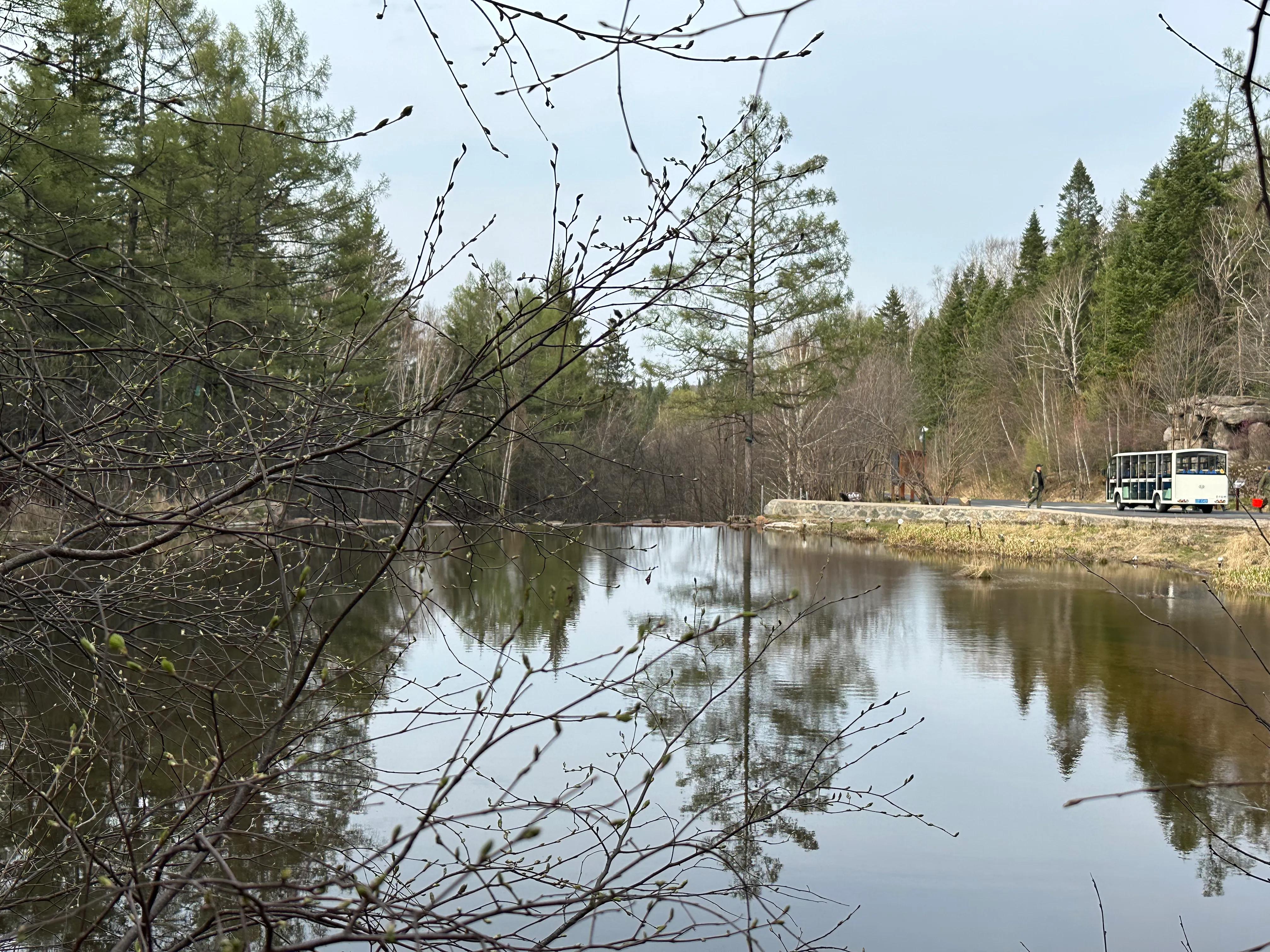 伊春汤旺河自驾攻略,汤旺河林海奇石风景区离伊春多远