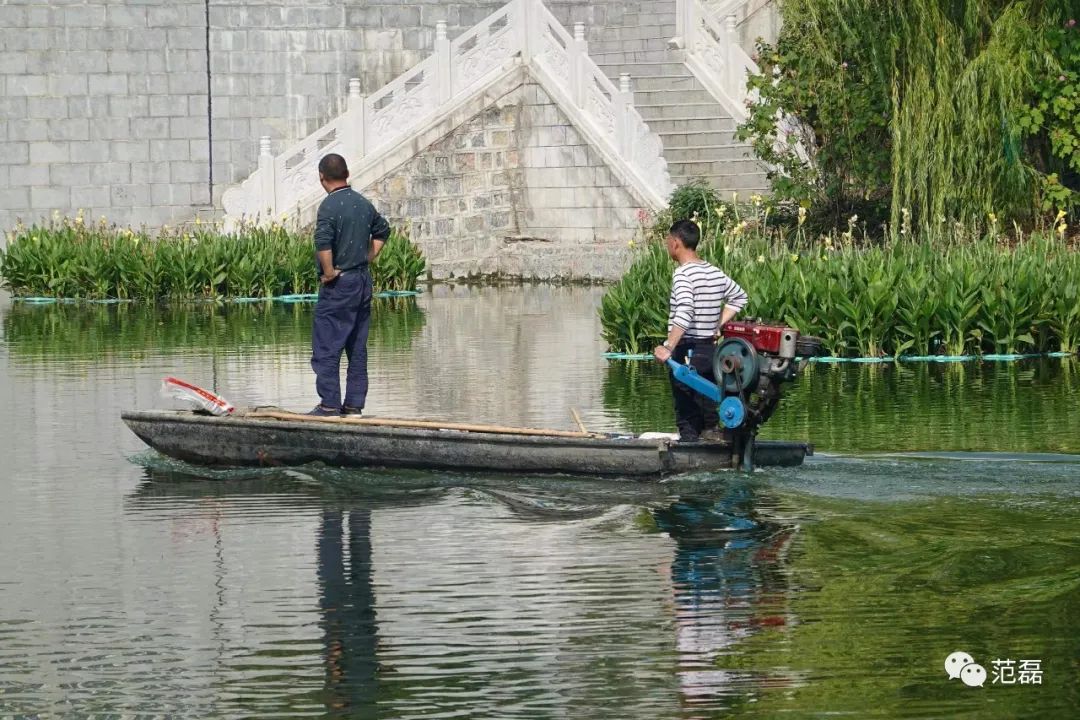 血泪教训：买相机就是折腾啊！我怎么就这样掉进单反的坑里了？