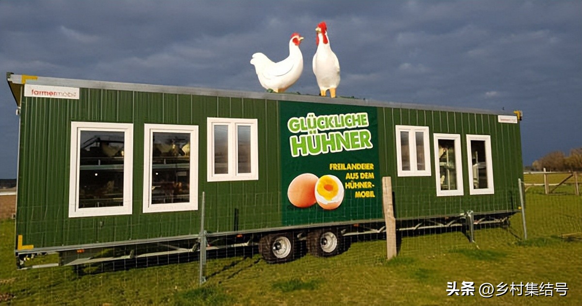 寰峰浗鑺︾瑡鍐滃満,鍏嬭幈鏂墭鑺︾瑡浣撻獙