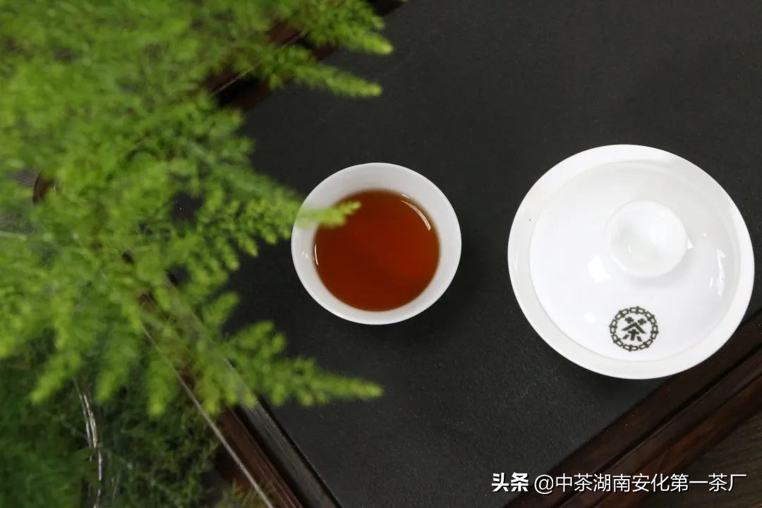 中茶闷壶,黑茶焖壶方法