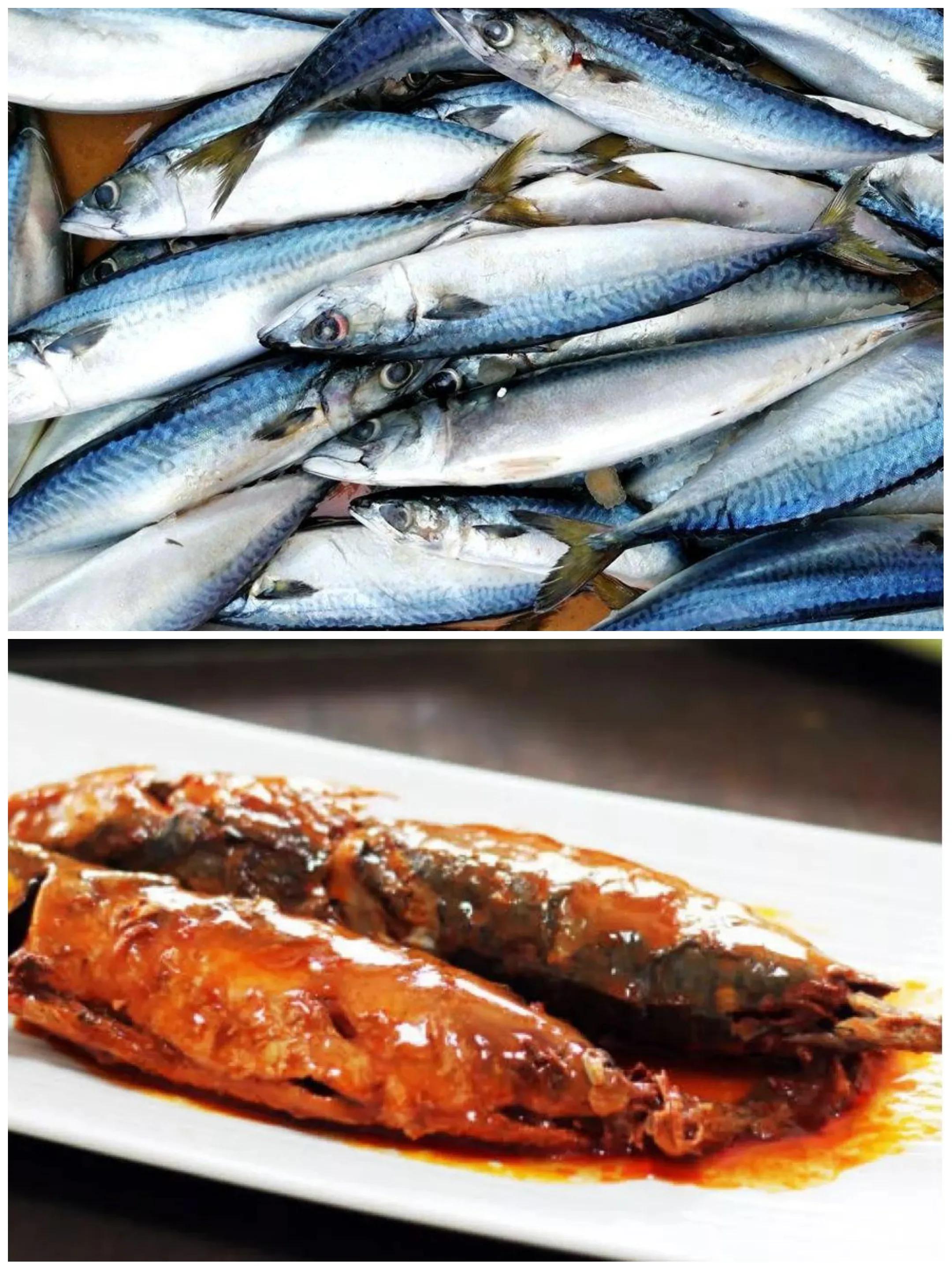 10种海鱼便宜营养价值高,30种最常吃的海鱼图片大全