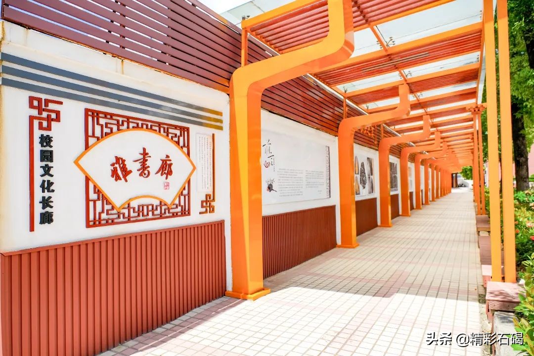 石碣四海学校招生简章,石碣四海学校