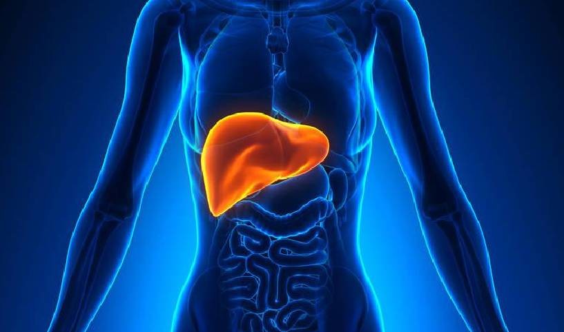 风湿痹阻辨证分析,风湿热痹的中医辨证分析