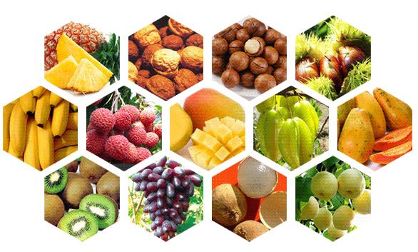 4-6岁儿童学习中文词汇,0-3岁幼儿中文应掌握的词汇