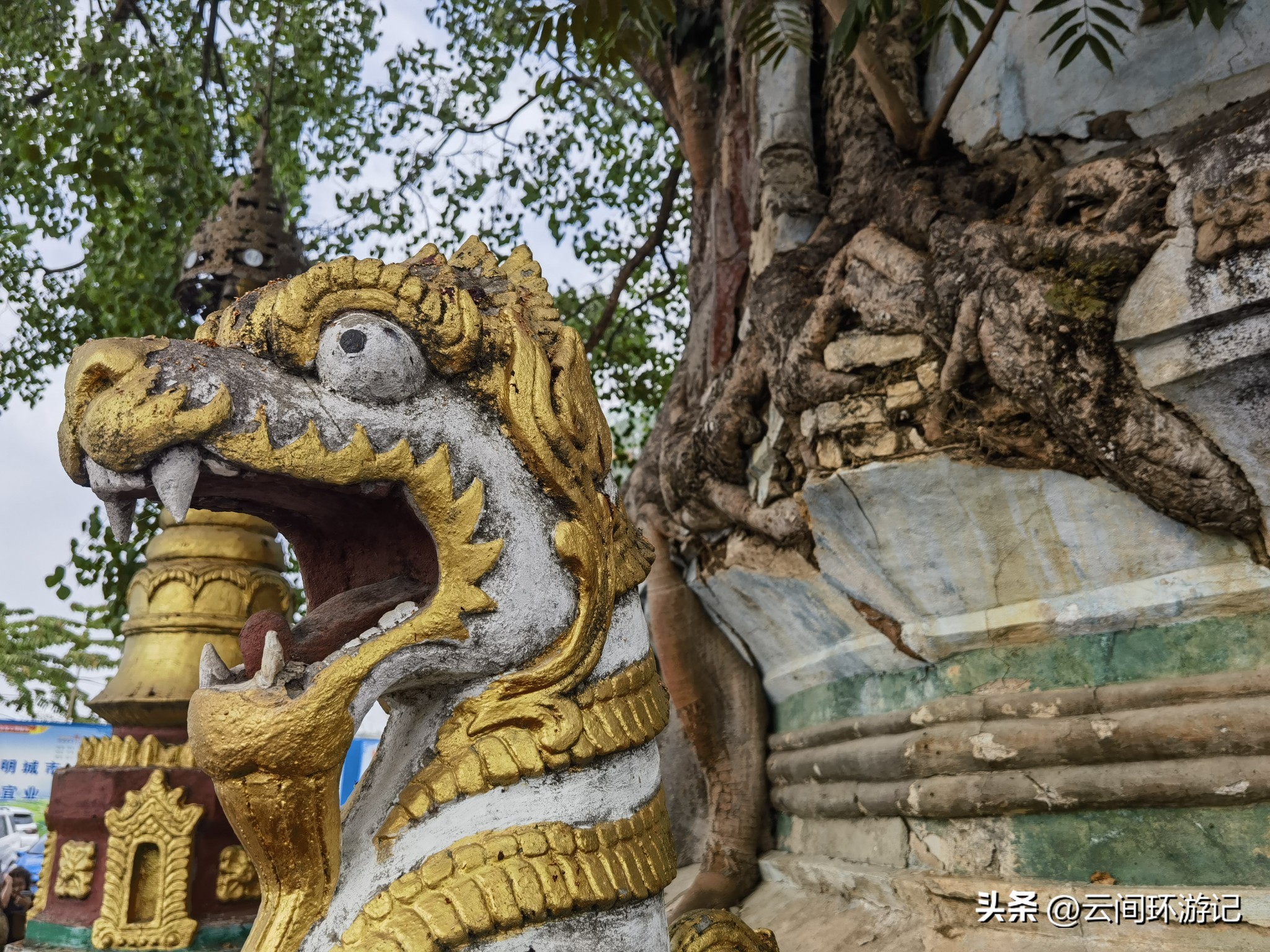 缇庝附寰峰畯娴极涔嬫梾,婕父寰峰畯
