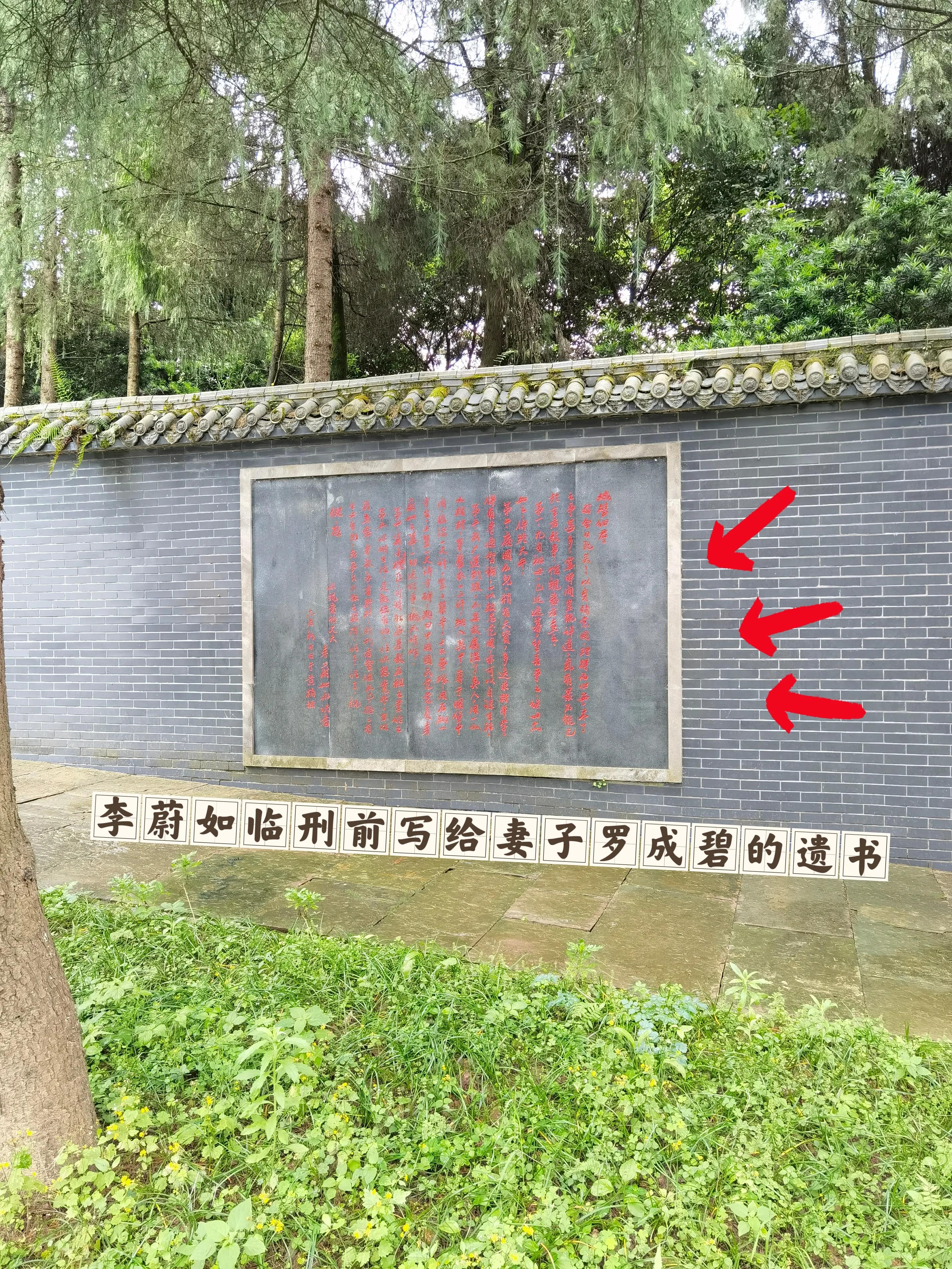 大顺李蔚如,航拍涪陵区大顺镇