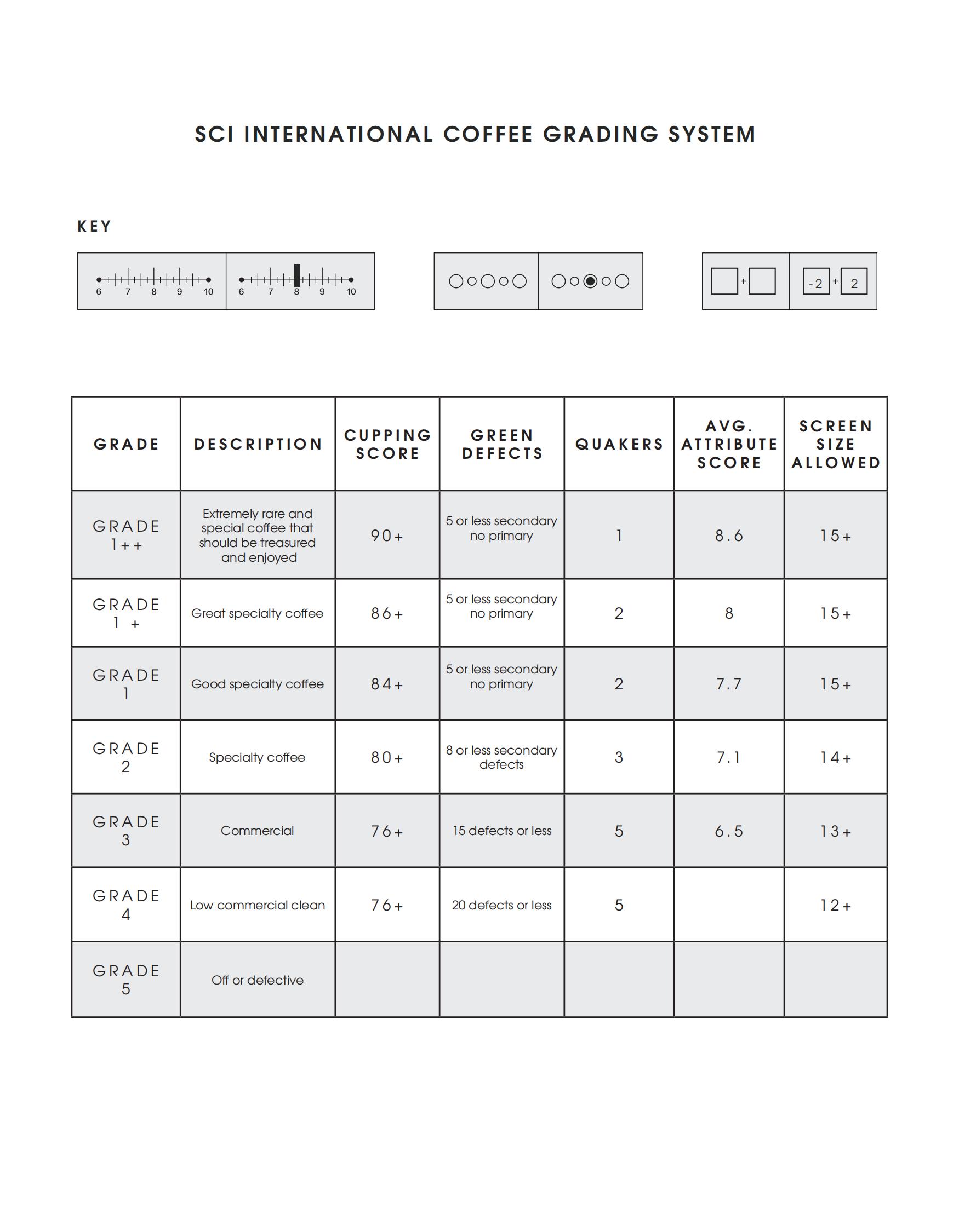你看过的咖啡评测99%都不专业，咖啡宇宙告诉你专业咖啡评测方法