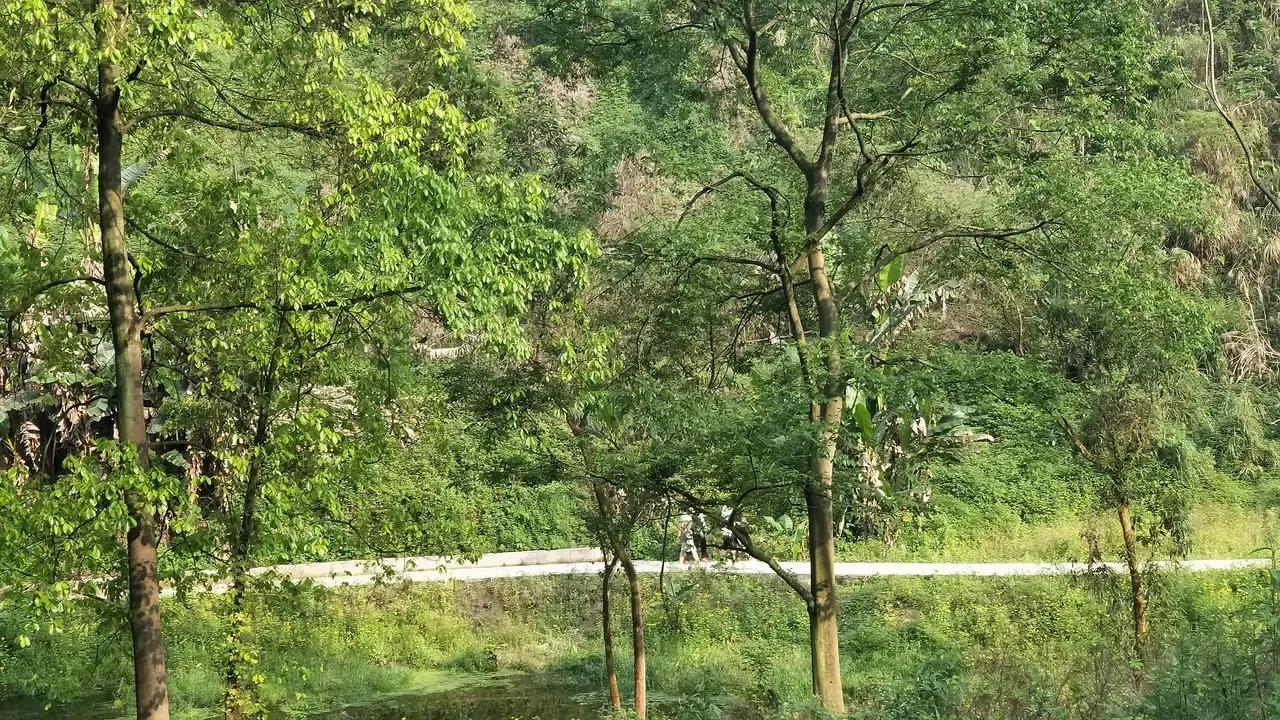 必考考点文言文精解精析,文言文必考题型及翻译