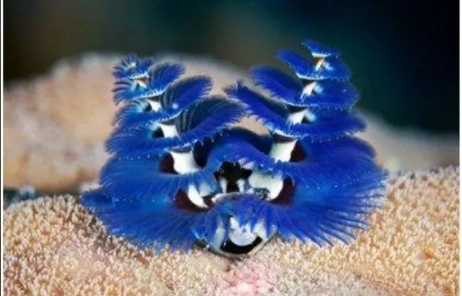 曹则贤跨年讲规范场论完整版 (曹则贤一元二次方程)