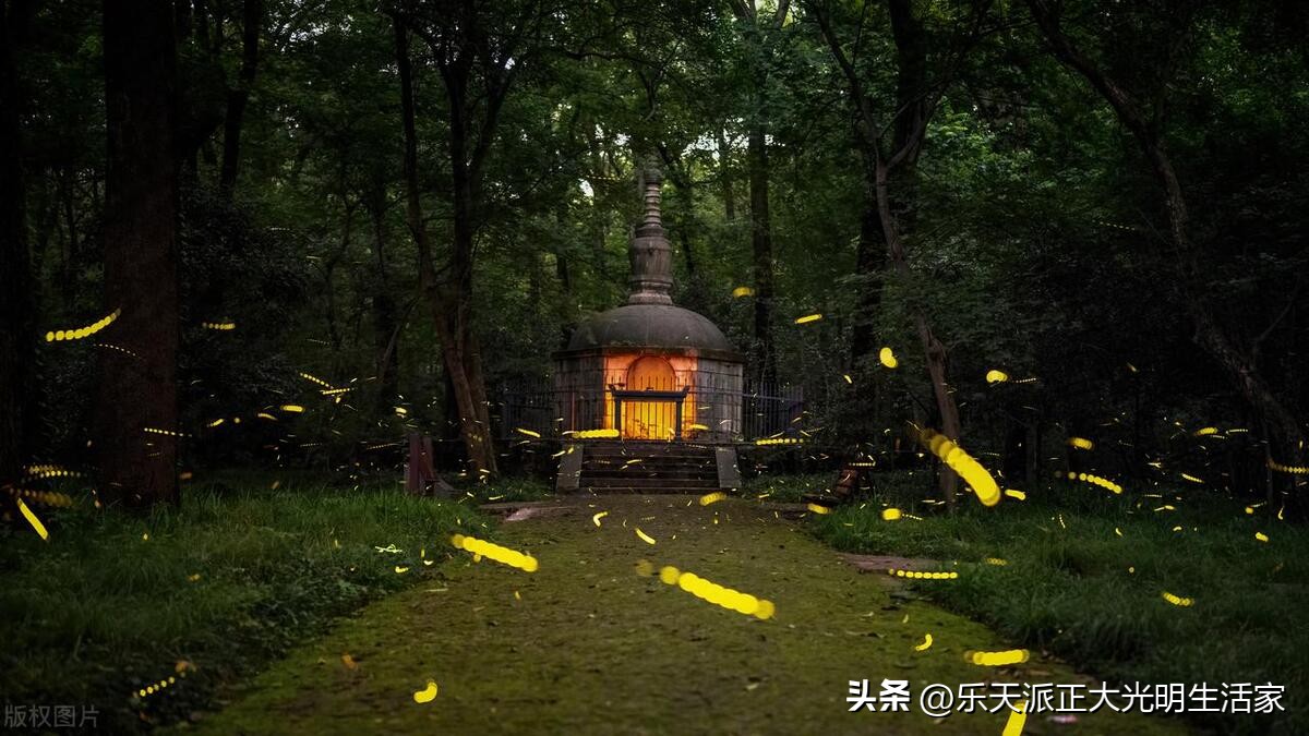 鬼灭之刃动漫剪辑超燃热血卡点,2022年打斗场面超燃的动漫