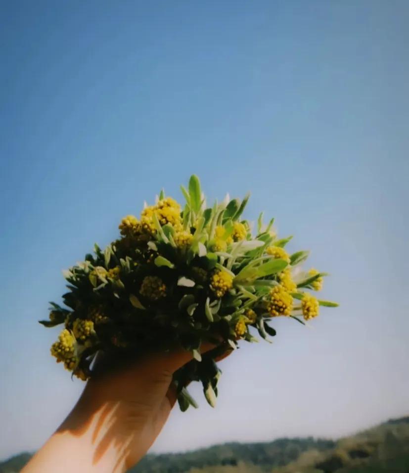 表达能力如何提升,提升语言表达能力