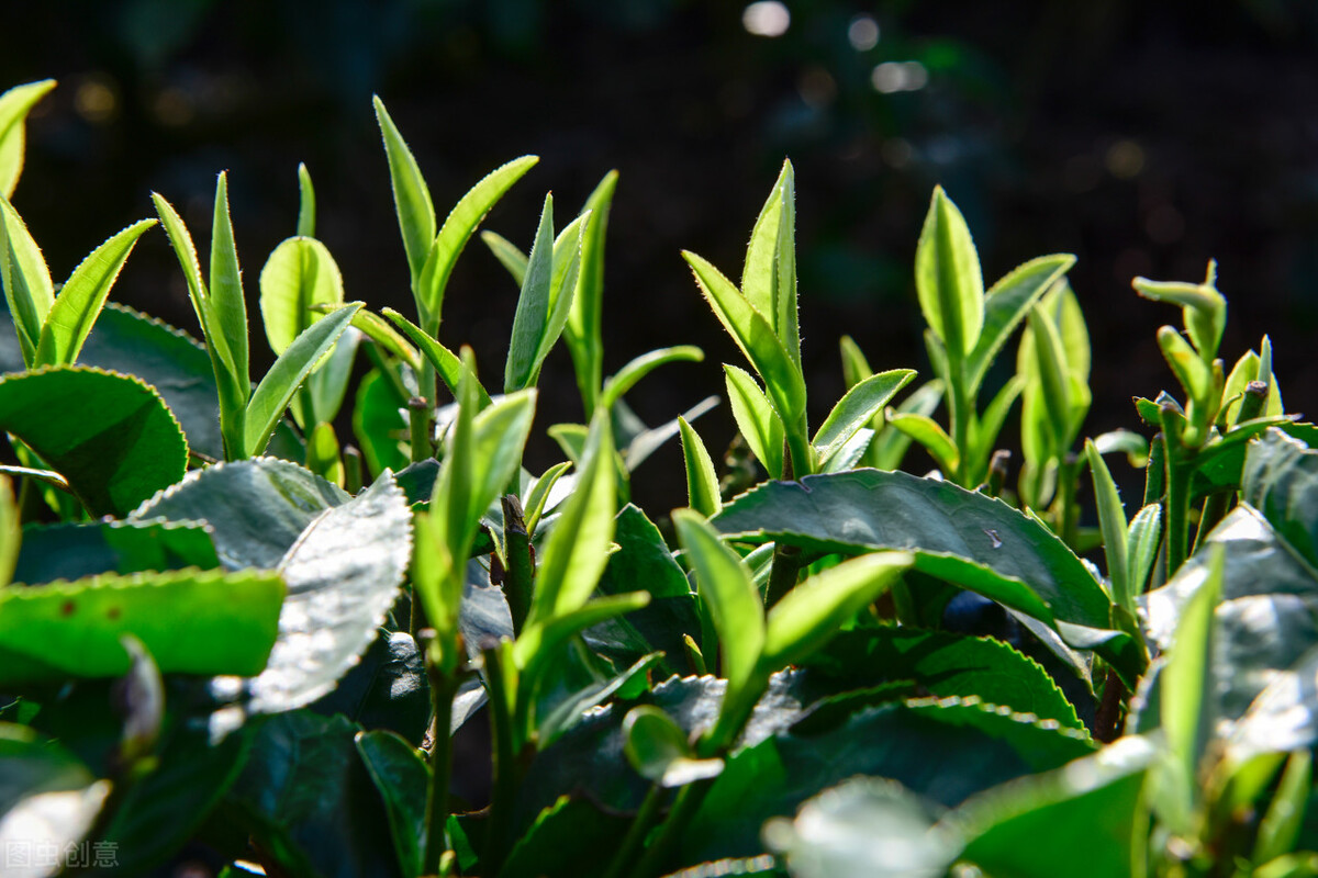 我在职场遇到不公平的事情怎么办,我在面试中遇见的奇葩事