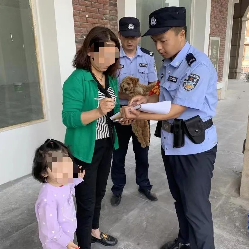 文明城市因不文明养犬被处罚,抚顺整治不文明养犬