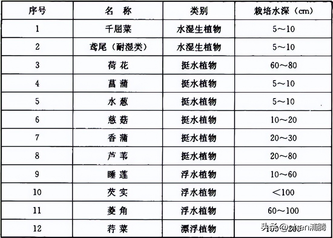 园林绿化施工及验收规范最新版,cjj82园林绿化工程施工及验收规范