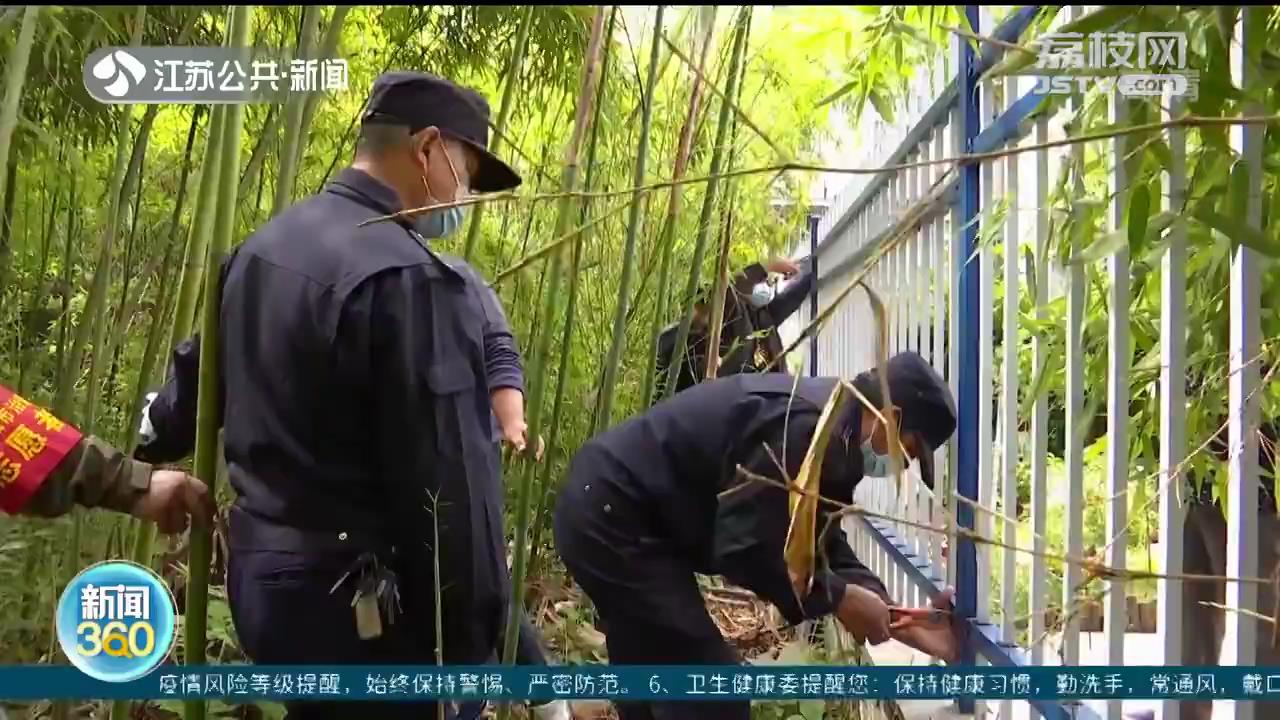 侵占公共绿地必须拆除吗,公共绿地遭圈占私改花园惹争议