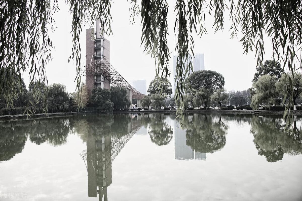 杭州函授成人本科2022报名入口,2022杭州成人高考录取院校