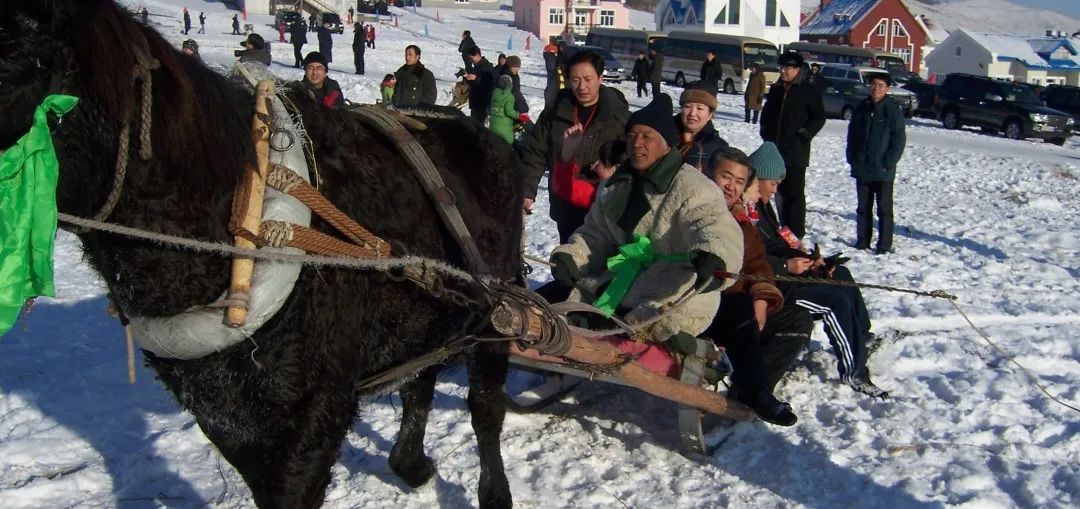 穿越雪原自驾游,穿越雪乡攻略