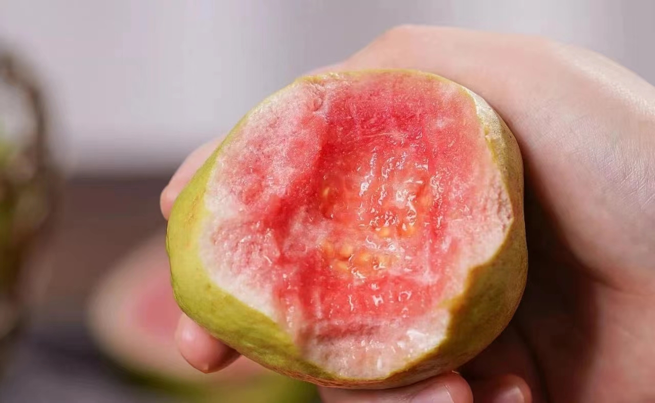 红心芭乐跟红宝石番石榴哪个好吃,红宝石芭乐番石榴海南