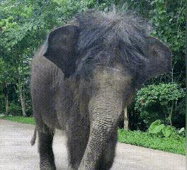 世界最罕见的女人图片高清,最罕见的30张照片女性