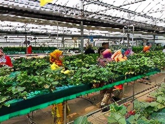 从北到南9集,从北到南看日本第一期