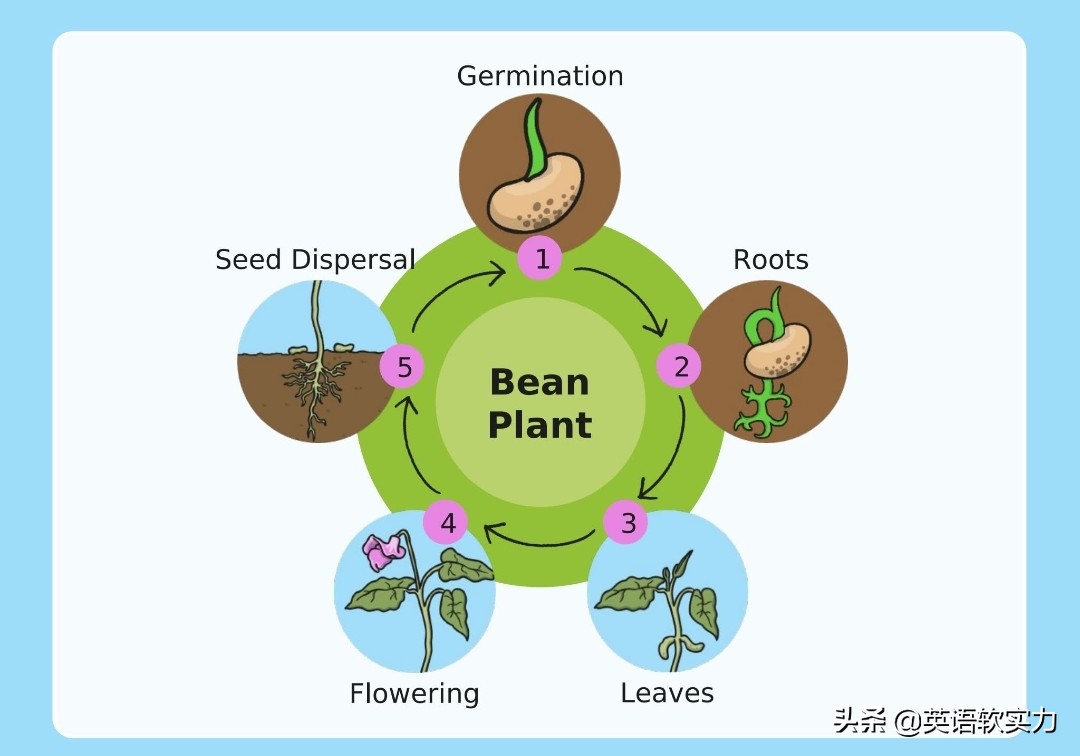幼儿英语启蒙创意,儿童英语有趣早教