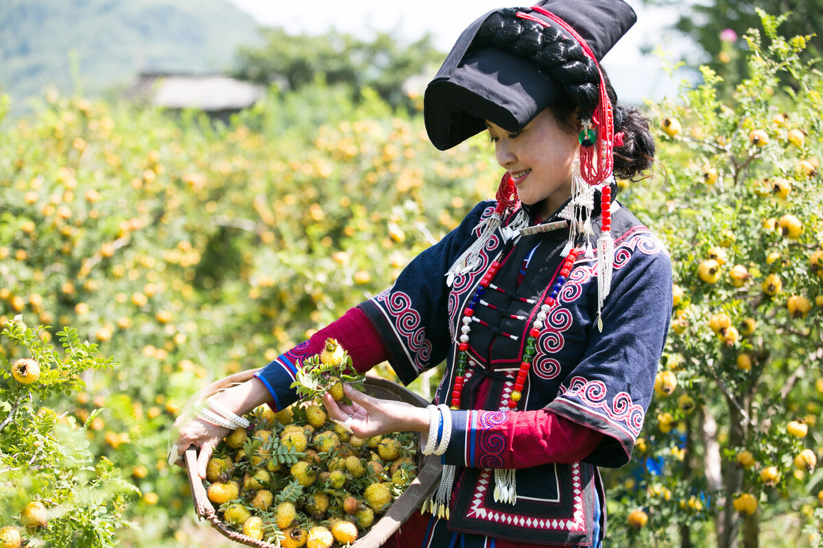 中秋前柚子石榴冬枣主打价如何？节后行情是否看好？东盟果涨为主