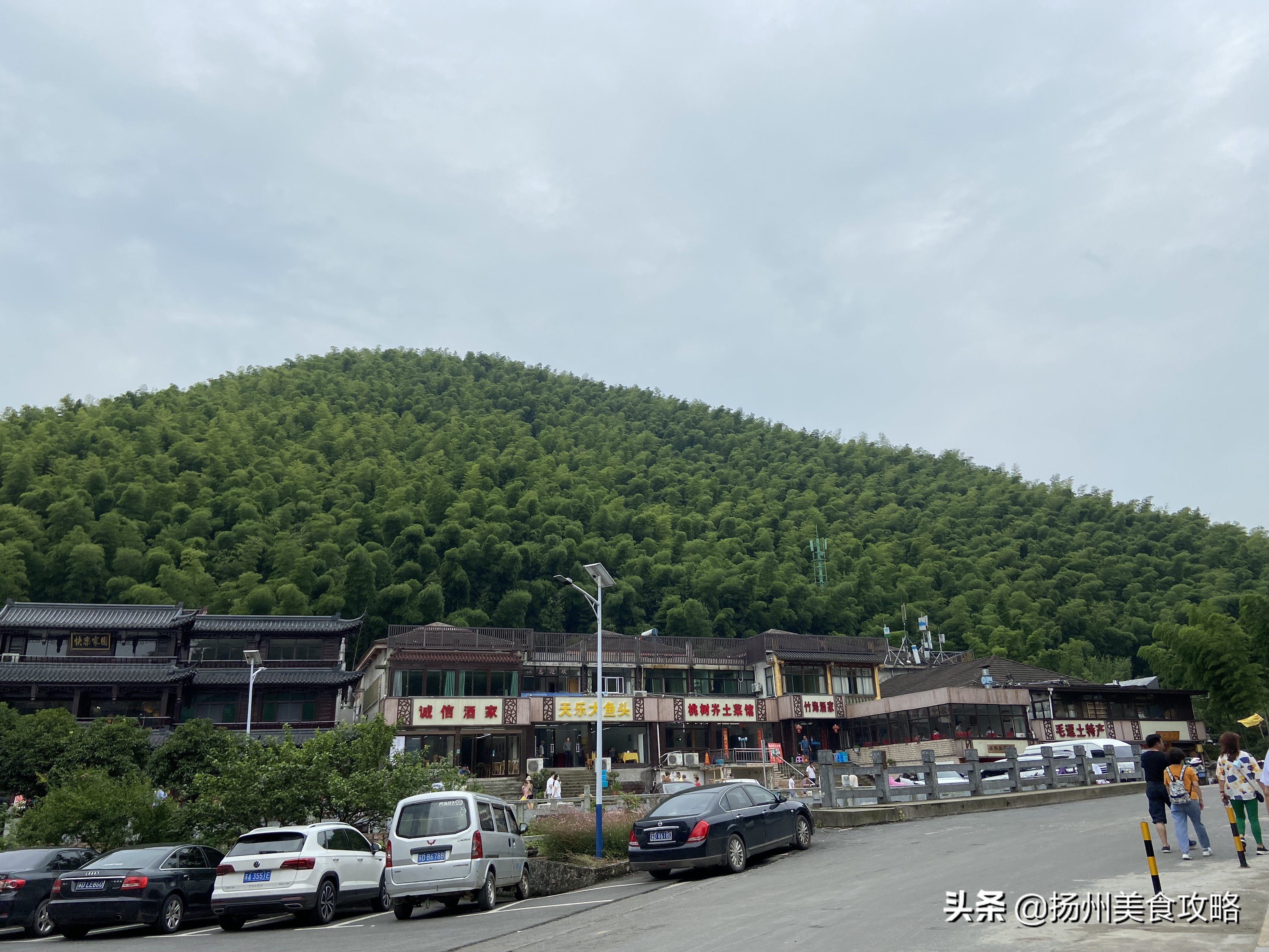 天目湖南山竹海附近游玩,常州天目湖南山竹海免费