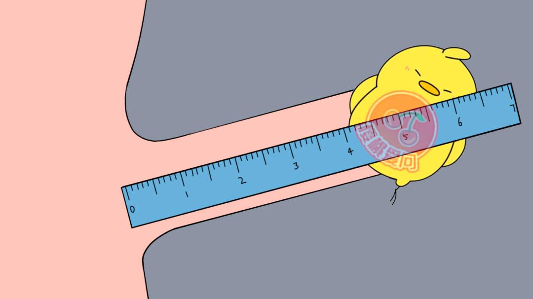男生*弟弟小**最长有多长？如何正确测量长度？