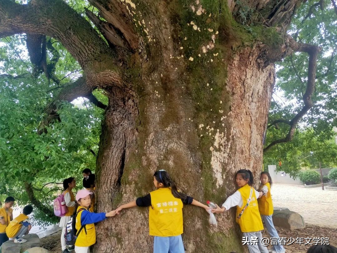 实验小学张逸轩|走读烟雨桐洲