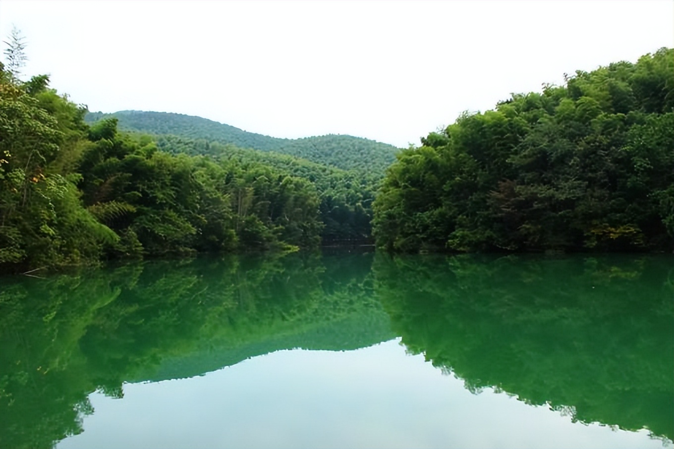 听竹林之声,听竹林中的流水声