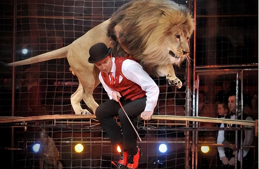 俄罗斯国粹国家大马戏,俄罗斯国粹芭蕾舞