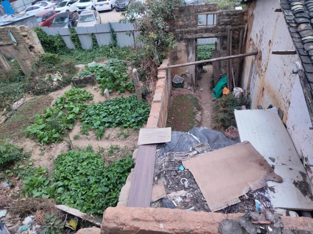 龙华鹊山旧改,上早鹊山旧改