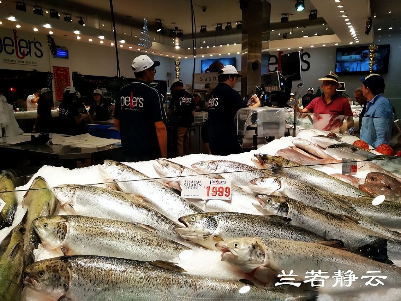 悉尼最大的海鲜鱼市场在哪里,海鲜市场澳洲龙虾