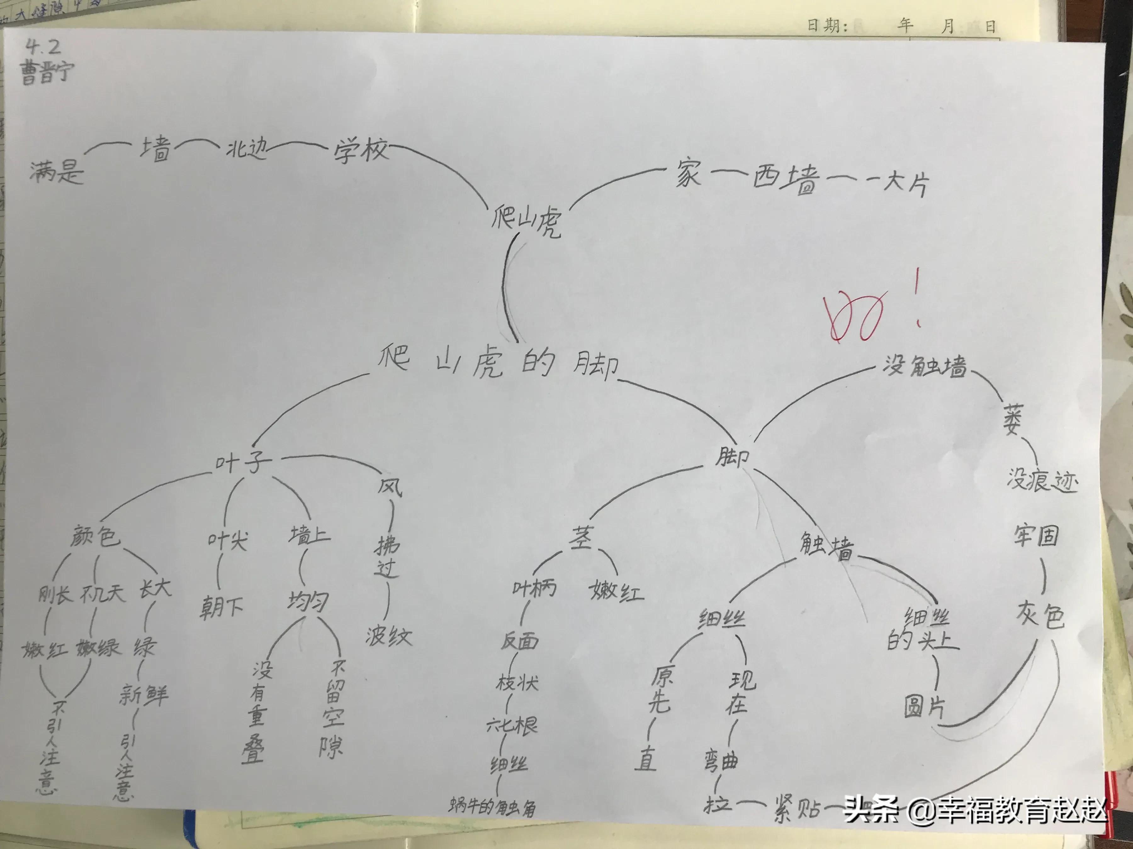 爬山虎的脚思维导图怎么画图片,爬山虎的脚思维导图绘画过程