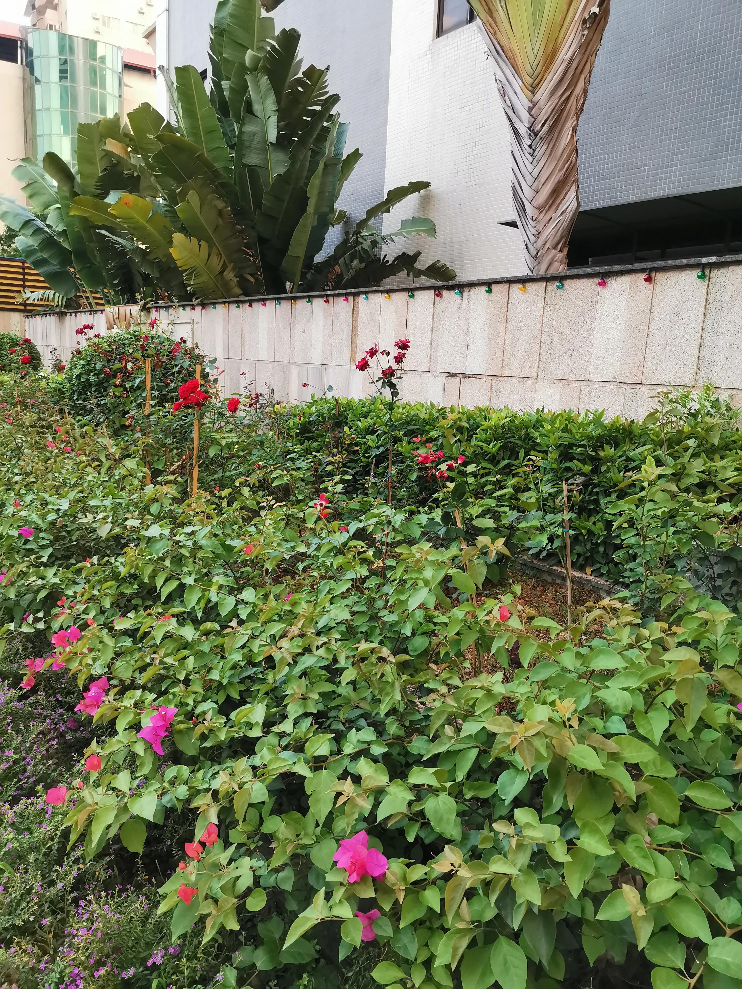 夏日可畏的意思是,夏日可畏成语