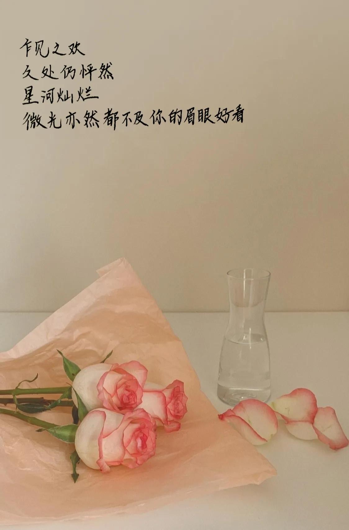 520简短走心文案表白男友,520表白文案图片