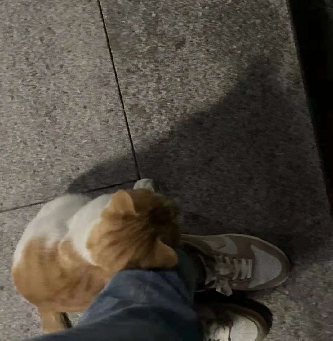 2022年这些瞬间温暖了我们,2022年的一切回顾