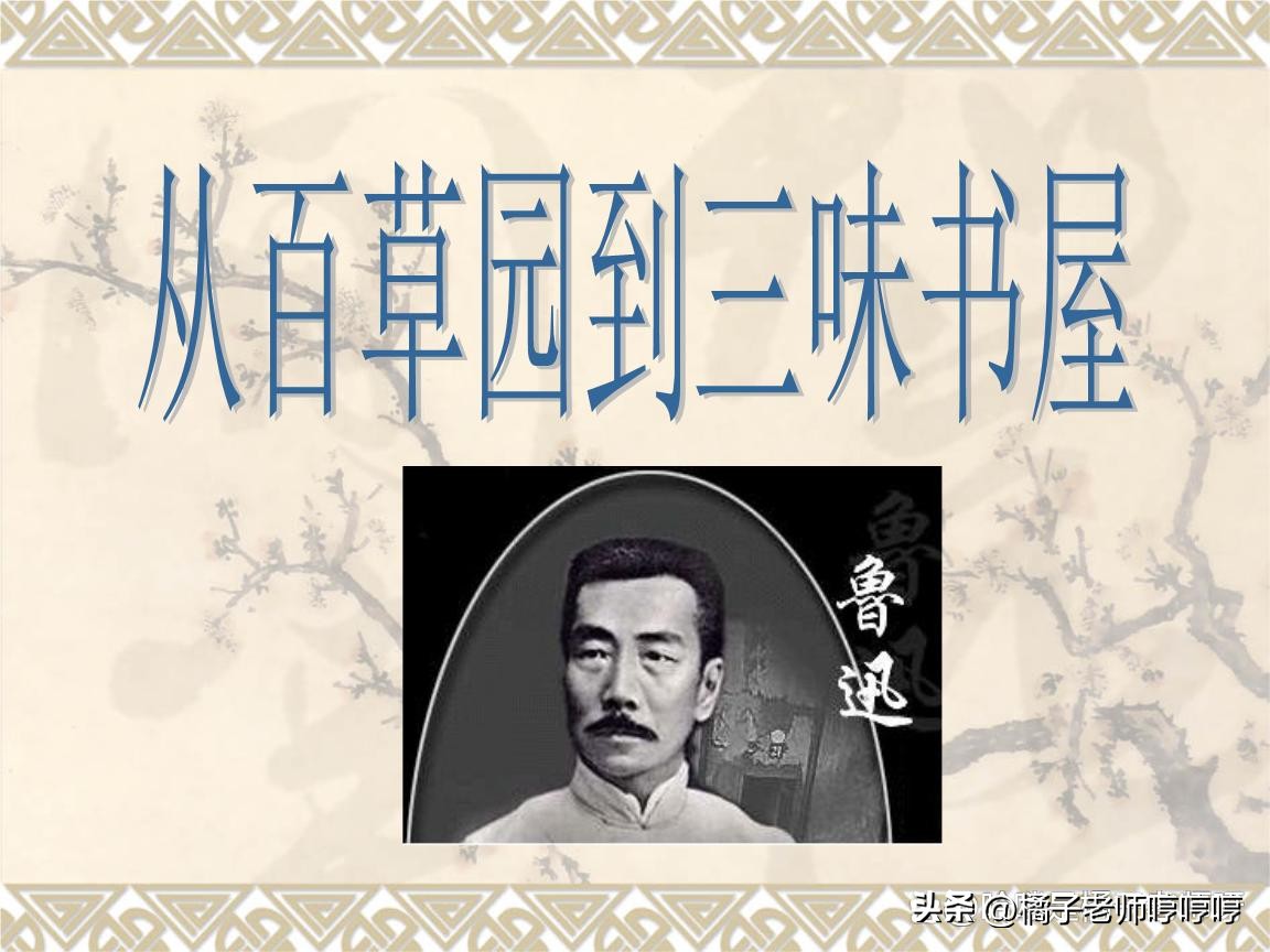 鏈濊姳澶曟嬀蹇呰儗鐭ヨ瘑鐐瑰畬鏁寸増,鏈濊姳澶曟嬀鍓嶄笁绡囧繀鑰冪煡璇嗙偣