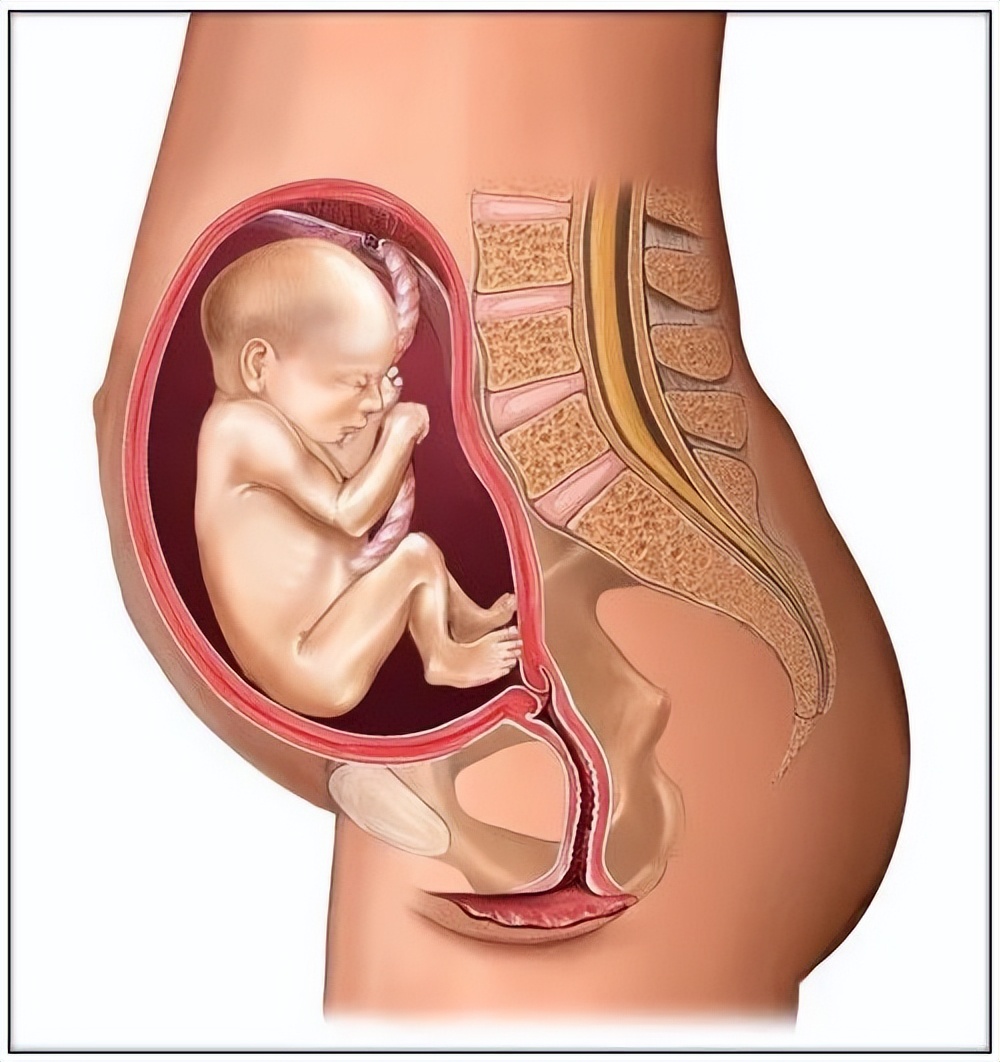 怀孕初期1-7天症状需要注意什么,孕妈这几个症状一定要注意