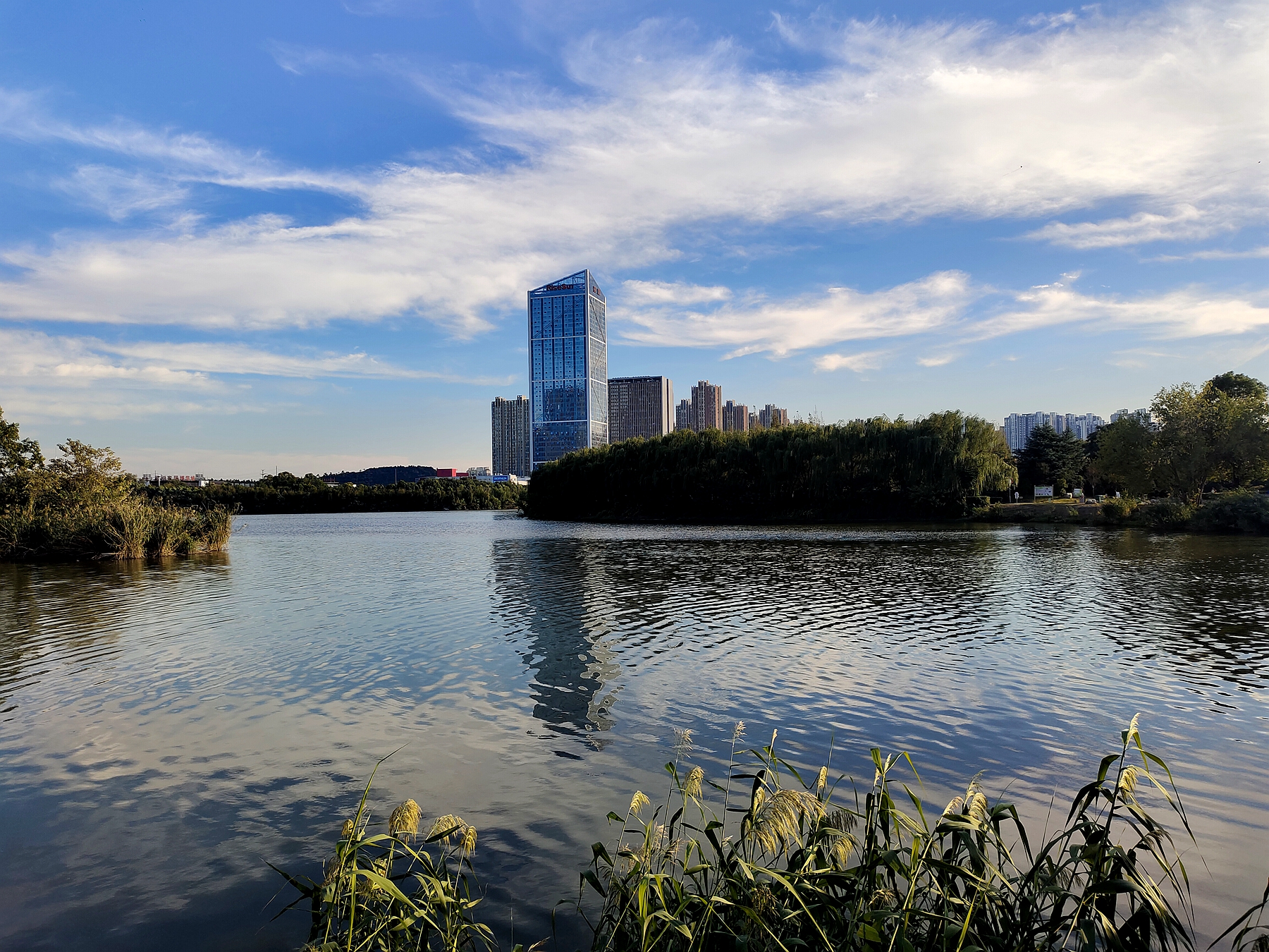 蚌埠桑酒冥夜由来,桑酒冥夜在蚌埠什么地方