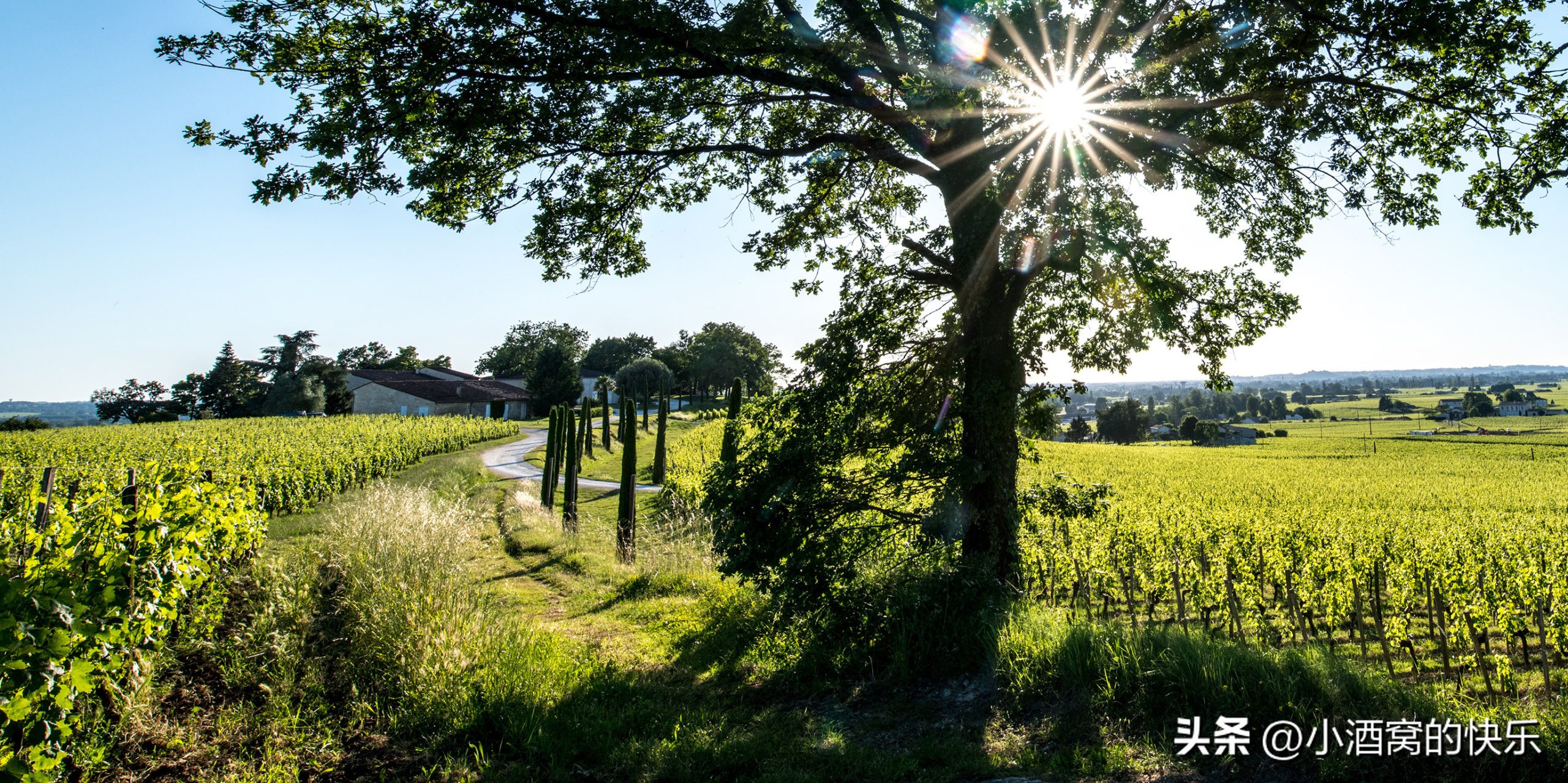 波尔多凯尔西酒庄chateauquercy,法国波尔多麦隆堡酒庄