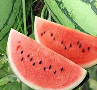 肠道准备不满意影响视野,肠道准备不充分肠镜会漏诊吗