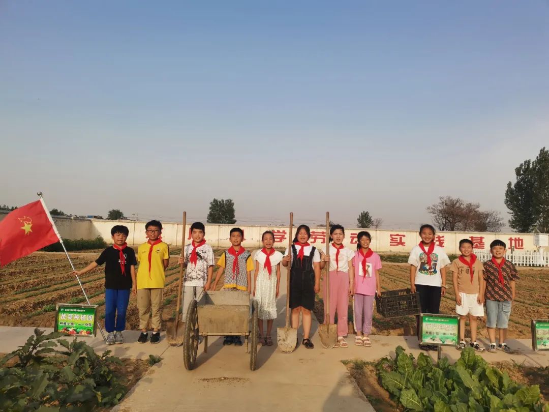 “土”露汗水“豆”耘童年——东风小学劳动教育实践活动之土豆丰收季
